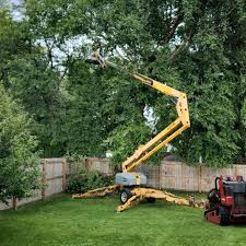 Best Tree Disease Treatment  in Port Washington, NY