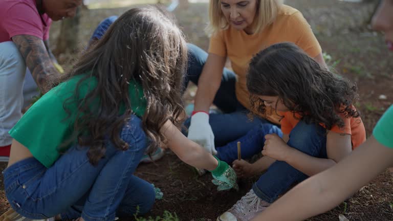Best Tree Mulching  in Port Washington, NY