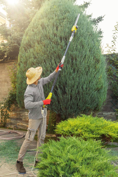 Best Hedge Trimming  in Port Washington, NY